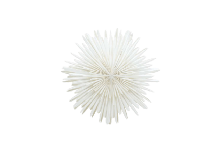 Venture Home Sälen Adventsstjärna Julbelysning Unisex Vit 60 cm