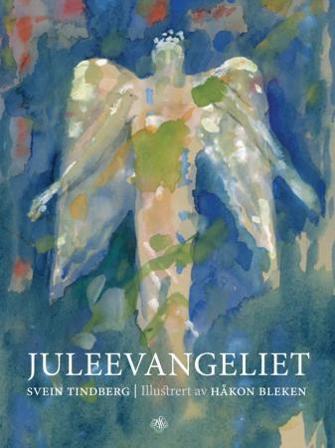 Juleevangeliet - Bok av Svein Tindberg - Hardback