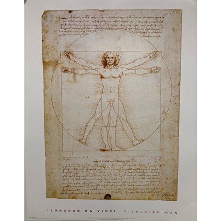 Da Vinci - Vitruvian Man