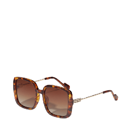 Pilgrim ALIET Solglasögon Accessoarer Dam Brun ONESIZE