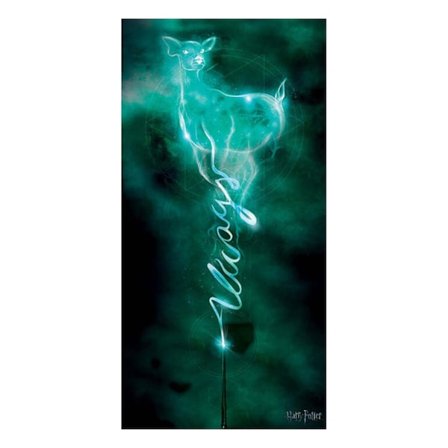 Harry Potter Doe Always Patronus Canvas Print 50cm x 100cm Svart