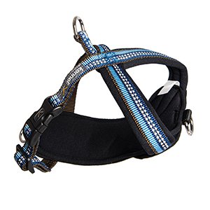 Kennel Equip, Dog Multi Harness Active, Hundsele