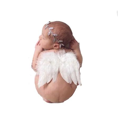 Bladkrans og engel fjærvinger baby fotorekvisita