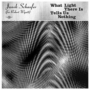 What light there is tells us nothing JANEK (FOR SCHAEFER