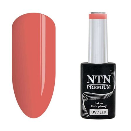 NTN Premium - Gel polish - Miss Universe - Nr28 - 5g UV gel/LED