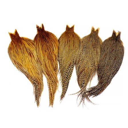 Whiting Heritage Hackle Cape - Barred Ginger Variant
