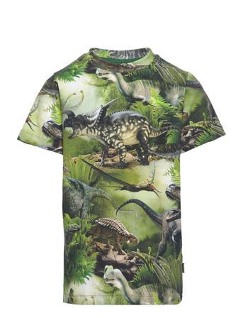 Ralphie T-shirts Short-sleeved Monivärinen/Kuvioitu Molo