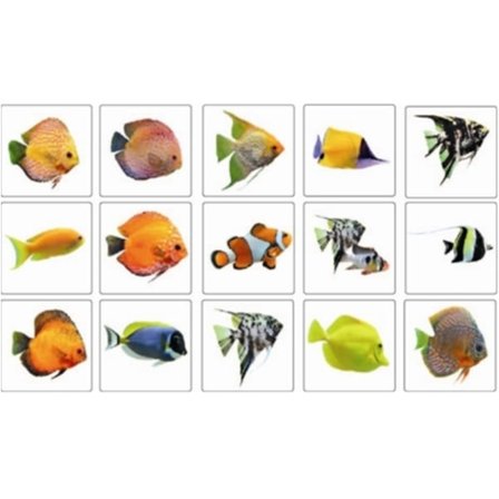 Färgglad fisk Kakel dekor