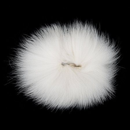 Arctic Fox - White