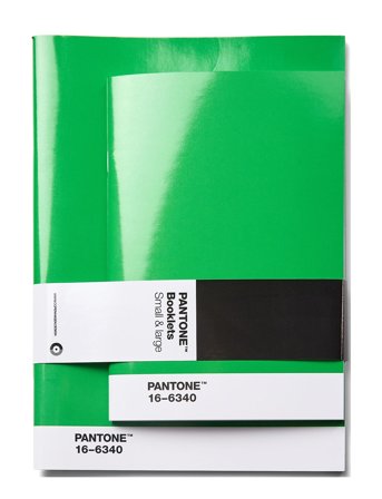 Pant Booklets Set Of 2 Dotted Green PANT