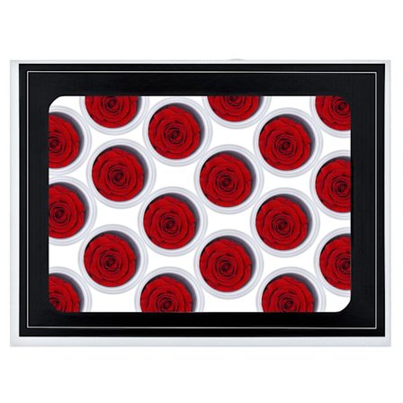 18x Små Evighedsroser