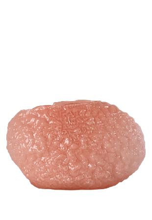 Byon Vas Corallo L Vaser Rosa Approx. 45x15x28cm