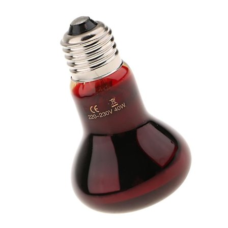 Reptil Sköldpadda Amfibie Nattlampa Infrarött Ljus E27 Sockel Värmelampa 40W