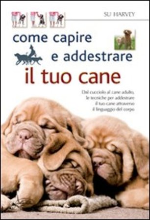 Come capire e addestrare il tuo cane Su Harvey