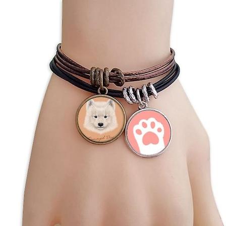 Hvid Samoyed Hund Kæledyr Dyr Katte Armbånd