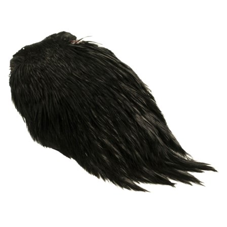 Indisk tuppnacke - Svart