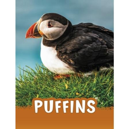 Puffins (häftad, eng)