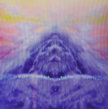 No silver bird/narcissus TVAM