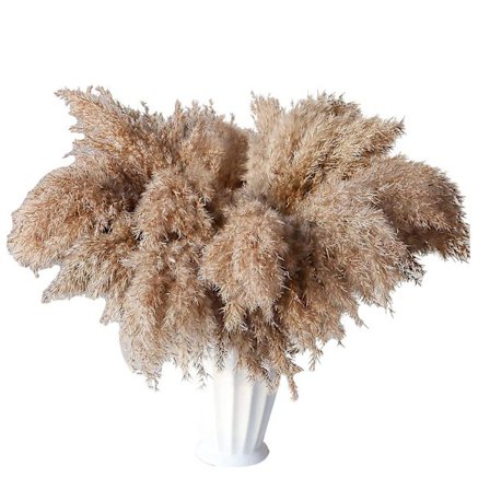 30 Strå Tørket Pampasgress, vill Pampasgress Fluffy Pampas Floral, 43 cm Bulk Pampasgress Dekor