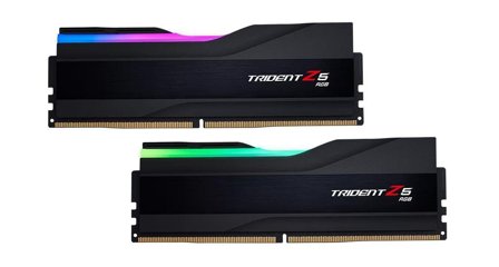 G.SKILL 48F24Gx2-Tz5Rk Memory Module