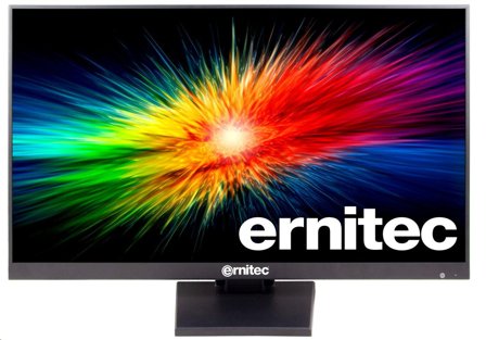 ERNITEC 19'' Surveillance monitor for
