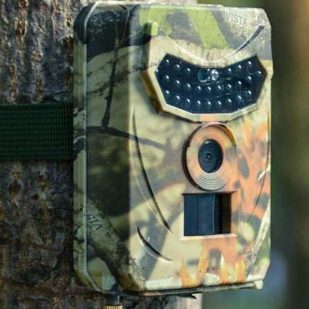 Metsästyskamera Riistakamera 1080p Infrapuna Hirvi Hirven Metsästysvalokuva