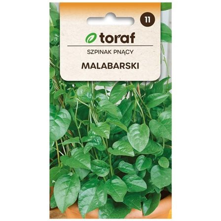 Frö till malabarspenat – Näringsrik och dekorativ klängväxt