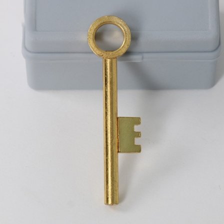 Magisk Nøkkel Flyttende Nøkkel Magiske Triks Nærbilde Gateillusjoner Gim