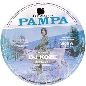 Amygdala (roman flugel/robag wruhme rmx) DJ Koze