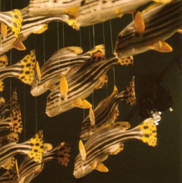 City center City Center