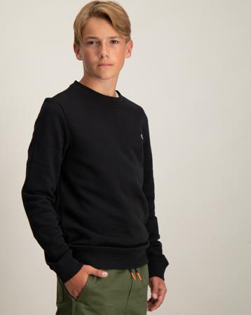 Calvin Klein MONO MINI BADGE REG CN Schwarz Pullover Jungen - Kidsbrandstore