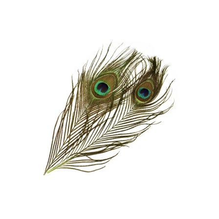 Frödin SNS Peacock Eye Feathers - Sunburst Yellow