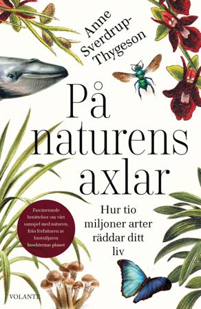På naturens axlar : hur tio miljoner arter räddar ditt liv - Bok av Anne Sverdrup-Thygeson - Inbunden