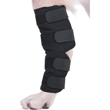 Hundebensstøtte - Beskyttelse og forebyggelse mod sygdom og forstuvninger XL Sort