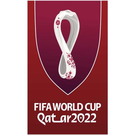 2-pack World Cup Qatar 2022 Banner Backdrop Decor 23,6x35,4"