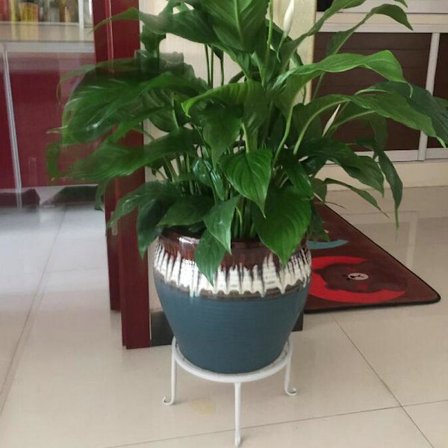 Vit krukväxtställ, set om 3, inomhusjärnställ