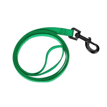 CANEM BASIC KOBBEL GRØNN M, Hund, Kobbel og bånd, Leiebånd