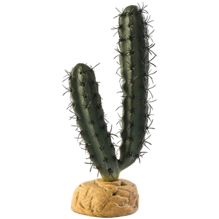 Exoterra - Fingerkaktus - Ørkenplanter på bakken Grønn 7 cm - Reptil - Terrarium inventar - Terrariumplanter & kaktuser - ZOO.no