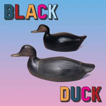 Black duck Black Duck