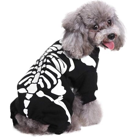 Halloween Kostume til Kæledyr Hunde Katte Edderkop/skelet Kæledyrskostumer til Små Mellemstore Store Hunde Festkostume Tøj Kæledyrs Jumpsuit Skjorte 