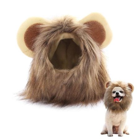 Løvemandskostume - Løvemands paryk - Hunde-kattekostume - Til små hunde katte cosplay kostume