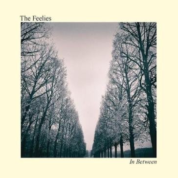 In between Feelies
