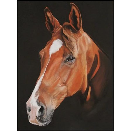 Hest Diamantmaleri Kits til Vægdekoration til Voksne Runde Fuld Bor 5d DIY Hest Diamantkunst Kits Dyr Diamantmaleri Kits til Begyndere Hor