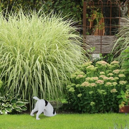 Trädgårdsfigur grävande hund