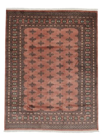 Bokhara 2Ply Rug Oriental (Wool, )