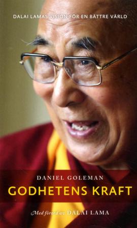 Godhetens kraft : Dalai lamas vision för en bättre värld - Bok av Daniel Goleman - Pocket
