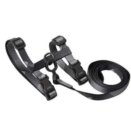 Katsele som är rymningssäker