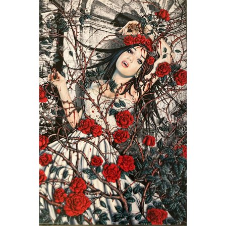 Vampire Bride Roses - Steve Read