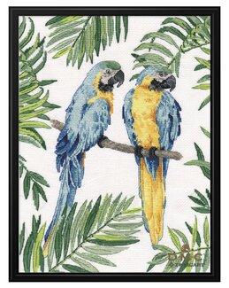 Broderipakke Bilde Papegøyer - Knittingroom