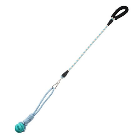 Interactive Pet Toys Hund Traction BLÅ